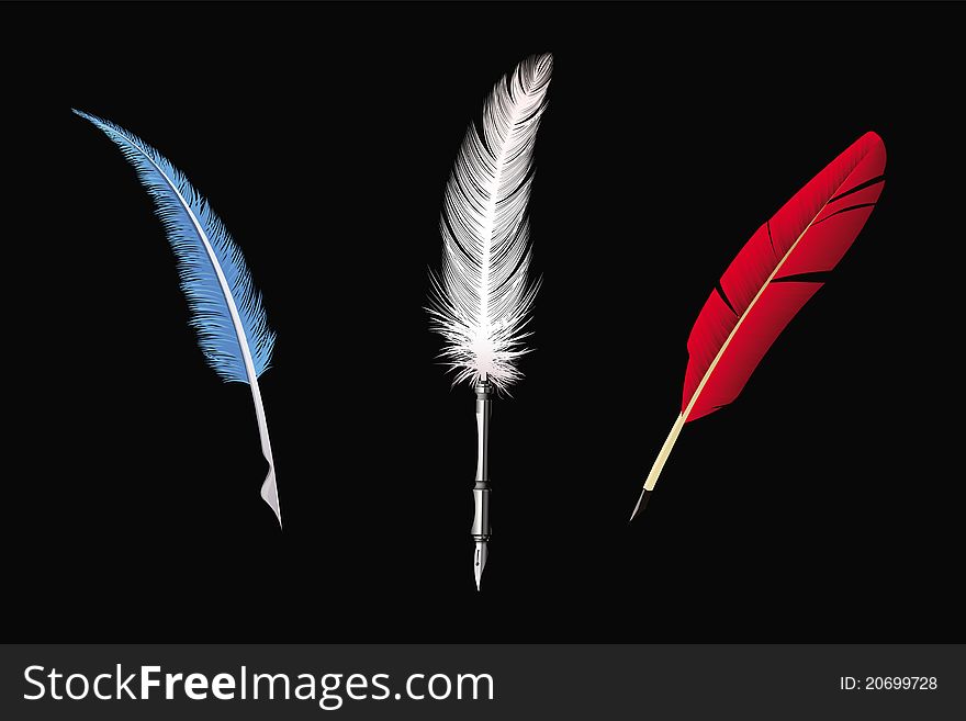 Feathers Collection