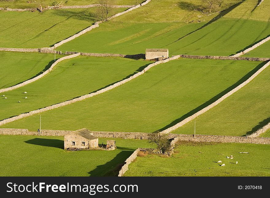 Hay Meadows In Rural Yorkshire