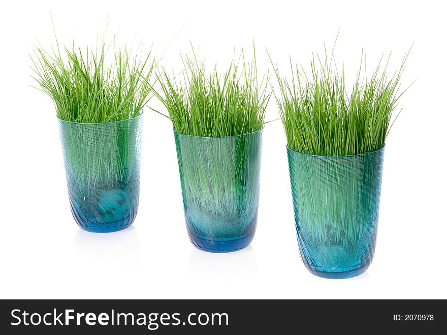Grass in glass on white background