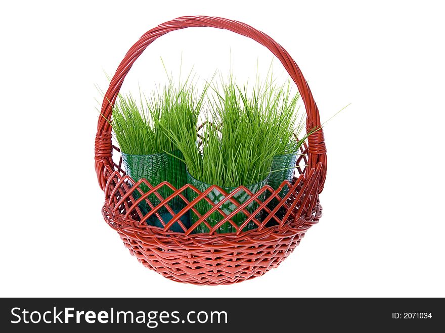 Green grass in red basket isolated on white background. Green grass in red basket isolated on white background