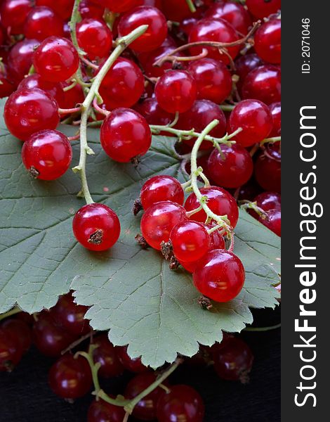 Crop Of Red Currant On Leaves