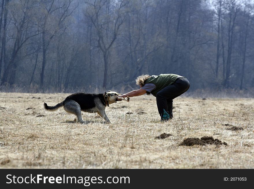 Man playing with Alsatian dog. Man playing with Alsatian dog.