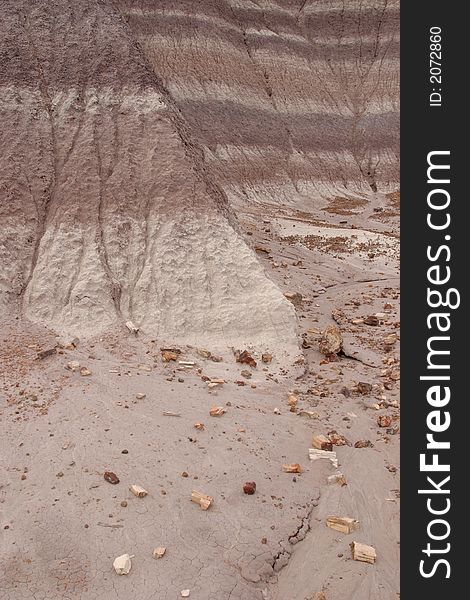 Blue Mesa of Petrified Forest National Park