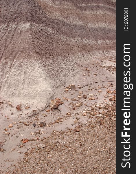 Blue Mesa of Petrified Forest National Park