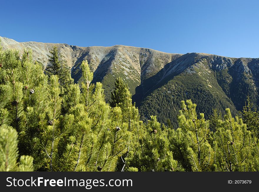 View on High Tatras mountains, slovakia