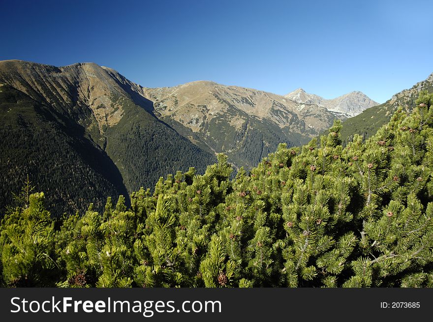 View on High Tatras mountains, slovakia