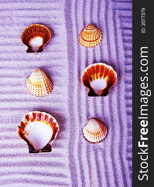 Shell - The hard, rigid outer calcium carbonate animals cover is called a shell. Shell - The hard, rigid outer calcium carbonate animals cover is called a shell.