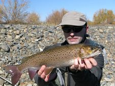 Trout Fishing Stock Image