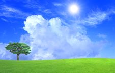 Green Field Royalty Free Stock Photography Green Field Royalty Free Stock Photography