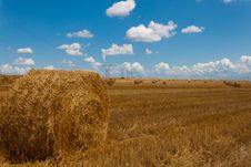 Field Hay Bales Stock Image Field Hay Bales Stock Image