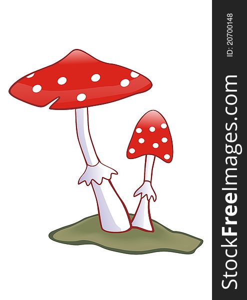 Toadstool