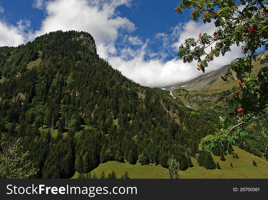 Branch of a mountain ash on a background of a magnificent Alpine landscape