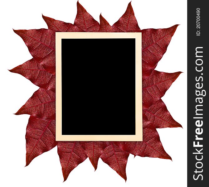 Blank photo frame on leaves for background. Blank photo frame on leaves for background