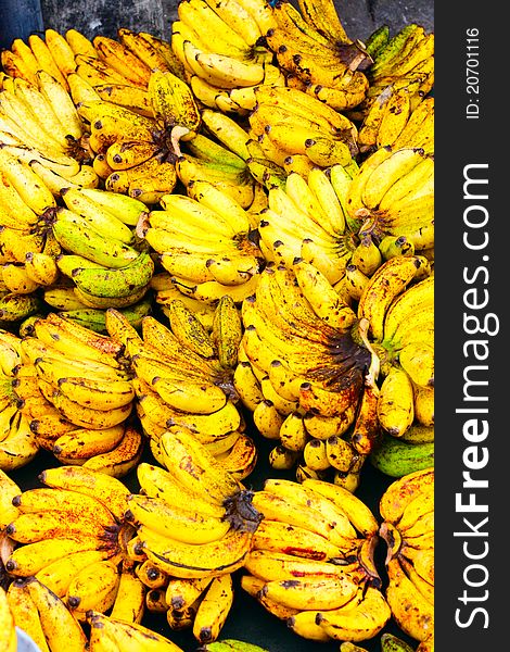 Freshly harvested bananas being displayed for sale. Freshly harvested bananas being displayed for sale