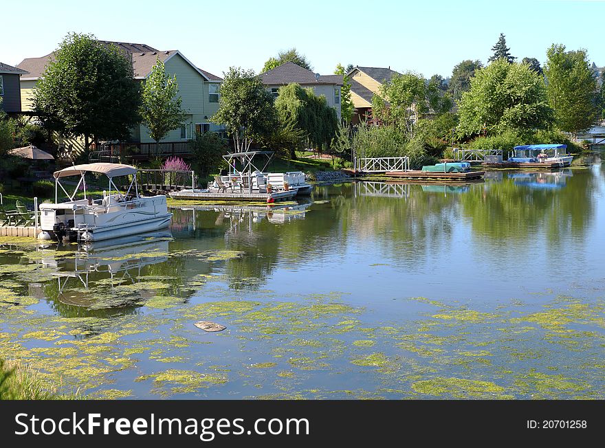 Small boats and floating algae decorates this Portland suburb. Small boats and floating algae decorates this Portland suburb.