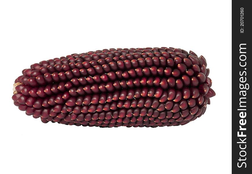 Variety of corn - corn on the cob brown. Variety of corn - corn on the cob brown