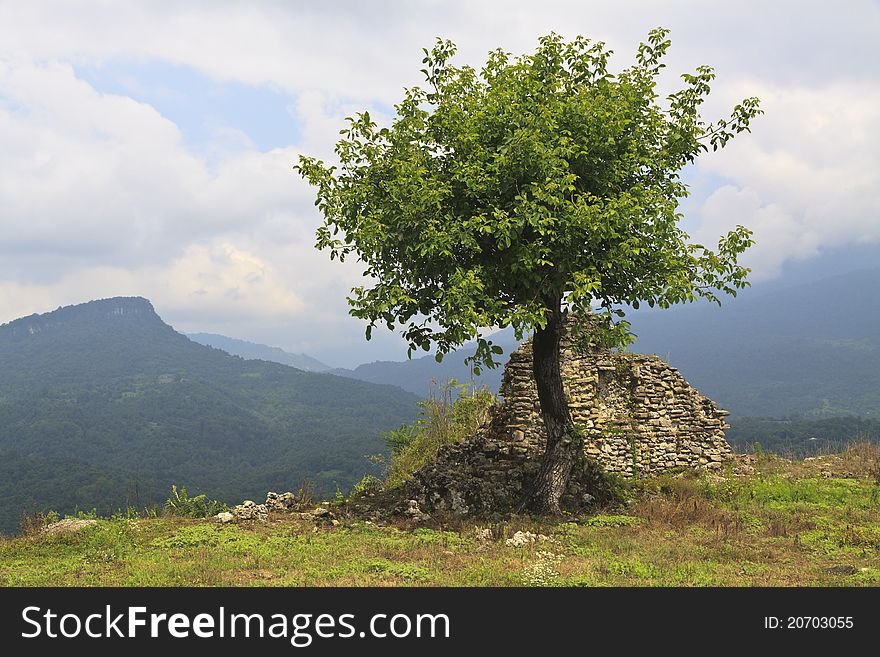 Lonely Tree And Ruins On Mountain