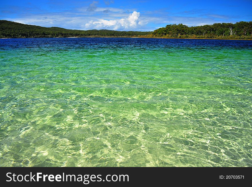 Clear Waters of Lake McKenzie, located on Fraser Island, Queensland Australia. It is a fresh water lake famous for its clarity and purity.