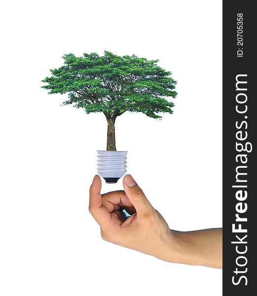 Light bulb in hand (green tree growing in a bulb)