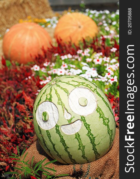 A beautiful carving on green water melon in garden. A beautiful carving on green water melon in garden