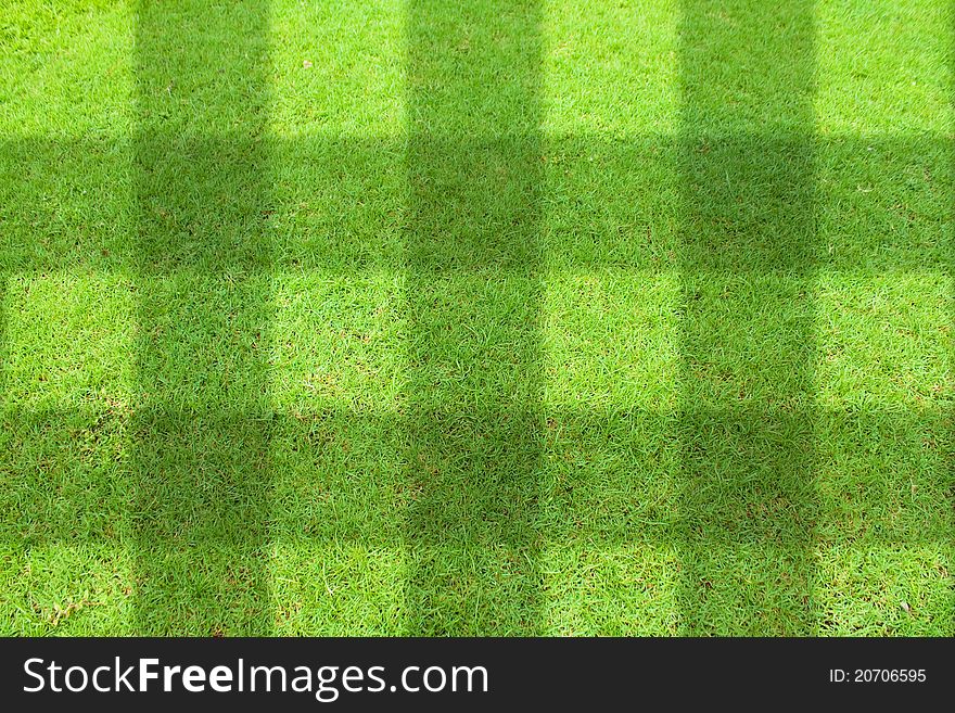 Top view of Beautiful square tone lawn. Top view of Beautiful square tone lawn.