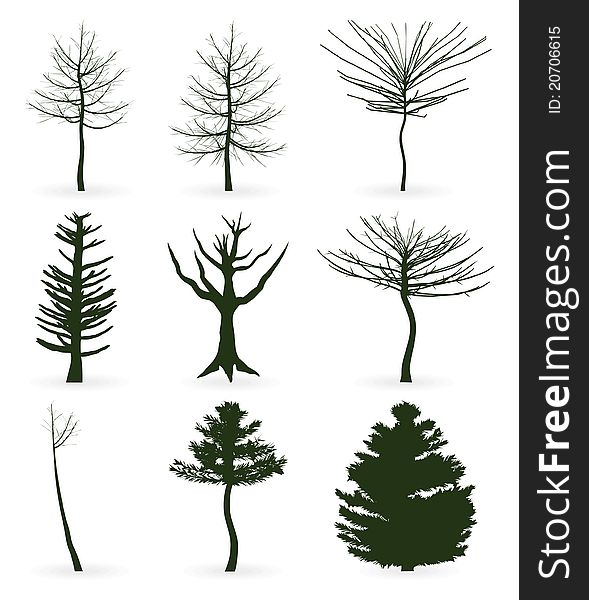 Silhouettes of trees on a white background. A vector illustration. Silhouettes of trees on a white background. A vector illustration