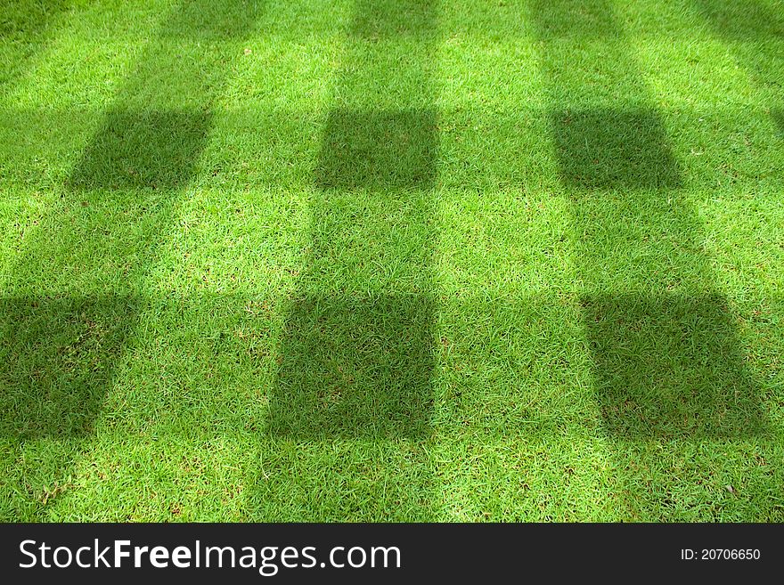 Top view of Beautiful square tone lawn. Top view of Beautiful square tone lawn.