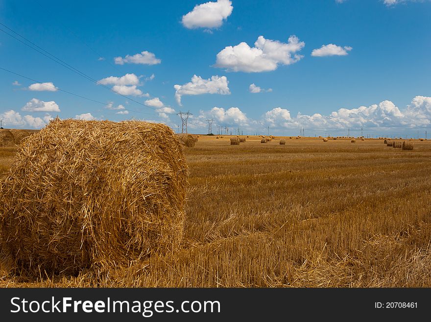 Field with hay bales on blue sky with electrical towers. Field with hay bales on blue sky with electrical towers.