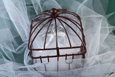 Rings In A Closed Cage Royalty Free Stock Photos Rings In A Closed Cage Royalty Free Stock Photos
