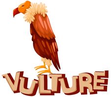 Vulture Stock Image Vulture Stock Image