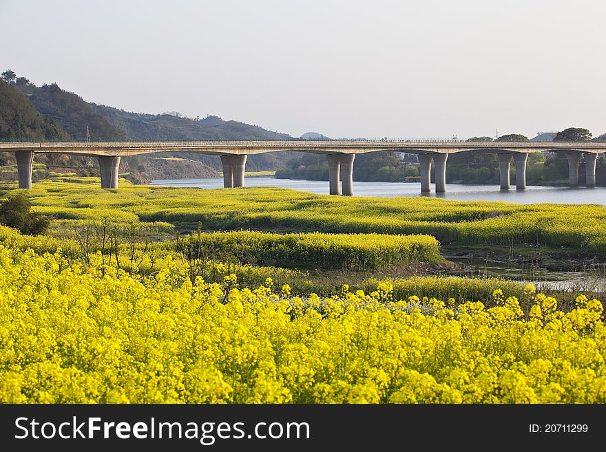 Elevated Highway Over River