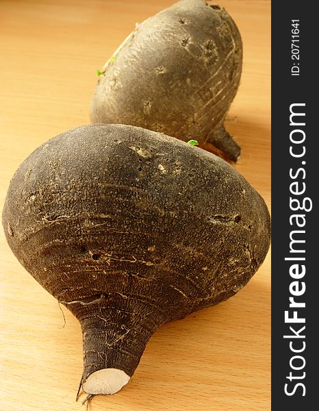 Two black radish tubers on the table. Two black radish tubers on the table