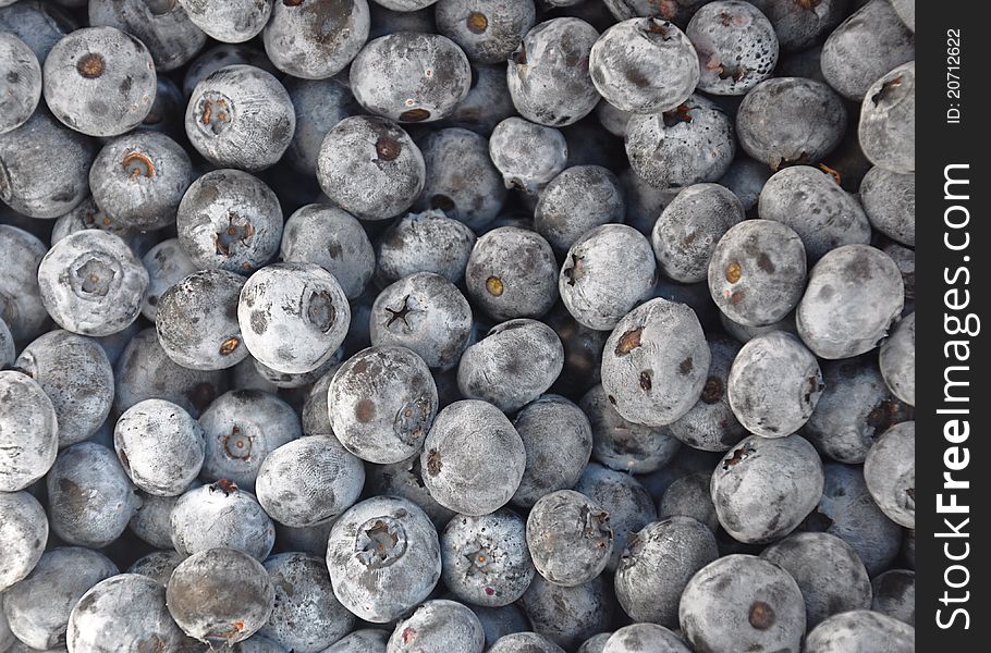 Stack of freshly picked blueberries