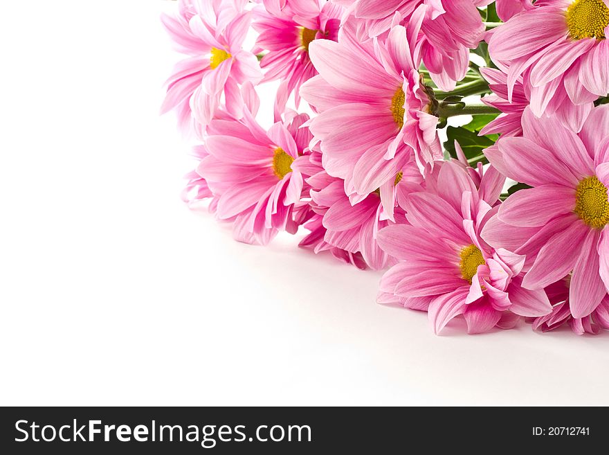 Bouquet of pink flowers on a white background