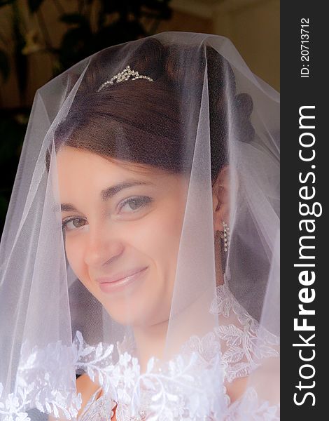 Portrait of the beautiful bride under a veil. Soft and smooth