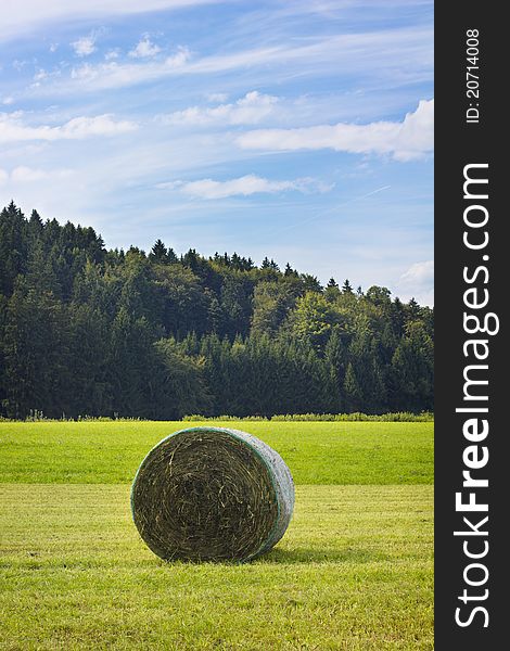 A scenic summer view of field with hay bale. A scenic summer view of field with hay bale