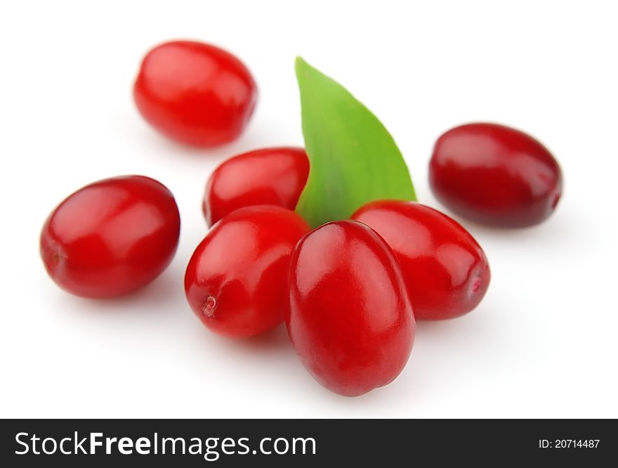 Sweet dogberry with leafs close up on the white