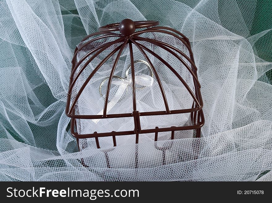 Rings tied together in a closed cage with tulle. Rings tied together in a closed cage with tulle