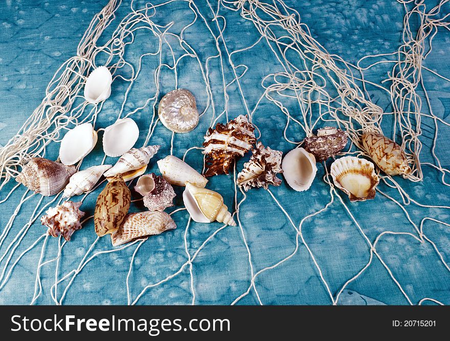 Seashells on a fishing net and tropical textile