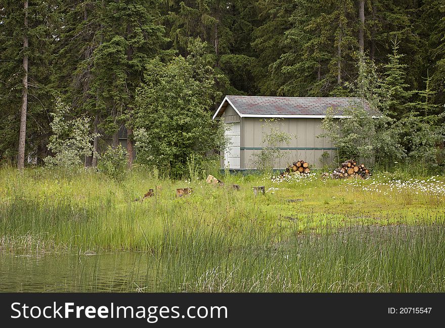 Woodshed in lush green forested area