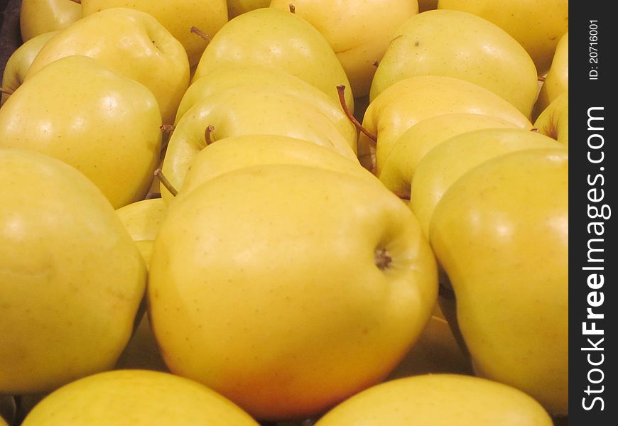 Basket of fresh picked yellow apples. Basket of fresh picked yellow apples