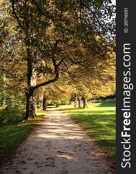 A pathway through a autumn park