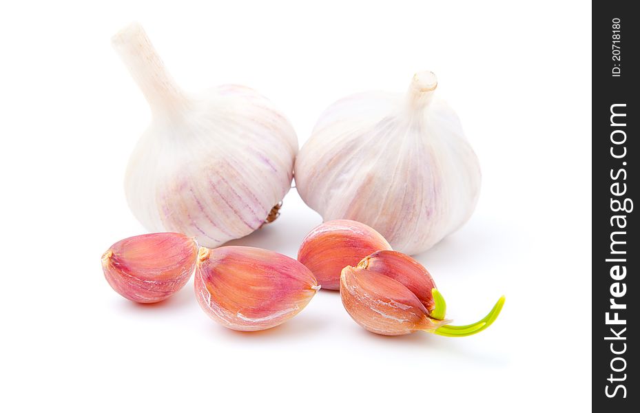 Fresh garlics, on white background