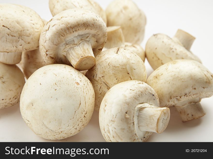 Fresh mushrooms on white background