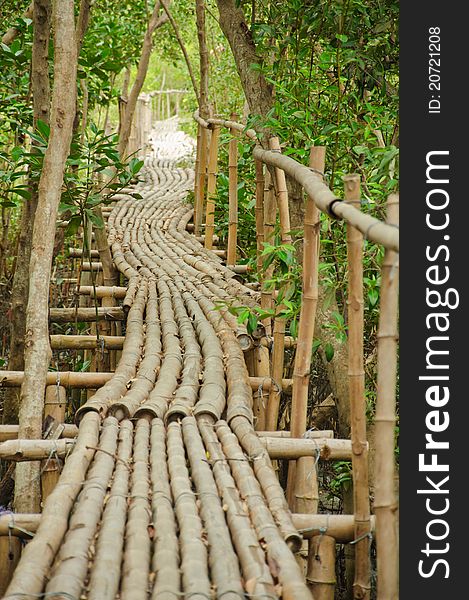 Bamboo walkway in Mangrove forest at Petchabuti, Thailand