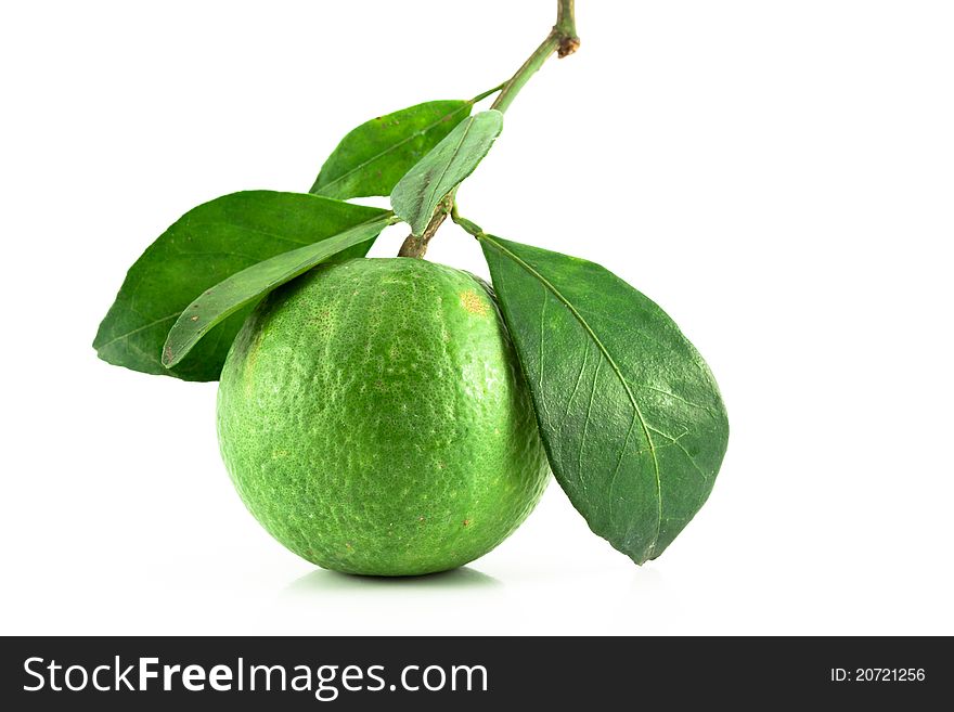 Green Tangerines  Isolated