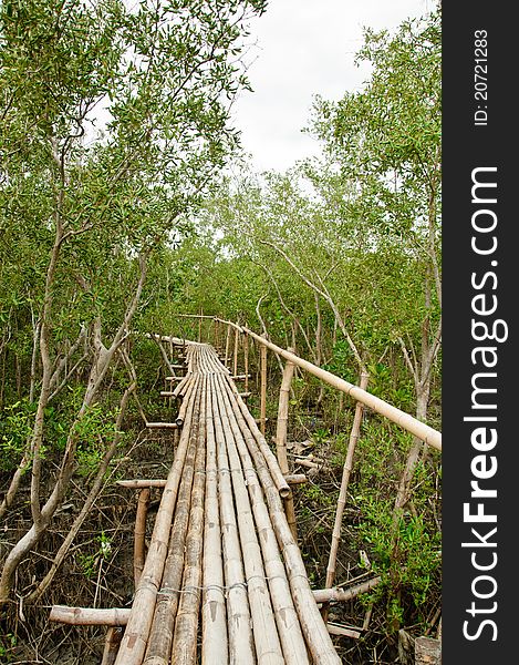 Bamboo walkway in Mangrove forest at Petchabuti, Thailand