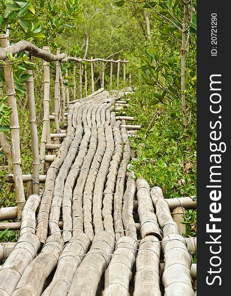 Bamboo walkway in Mangrove forest