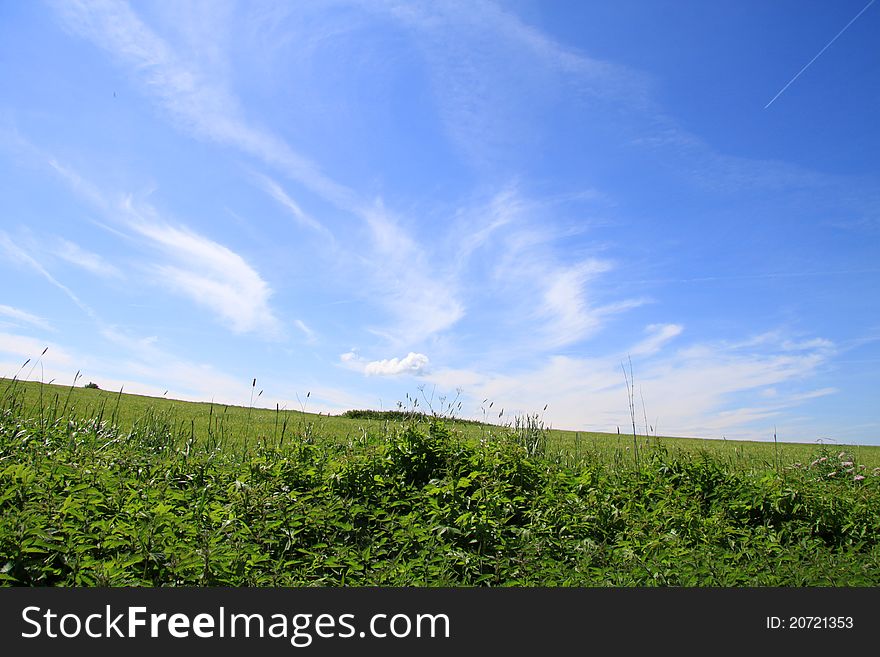 Photo of a blue sky with white clouds, a plane travelling and green grass. Photo of a blue sky with white clouds, a plane travelling and green grass