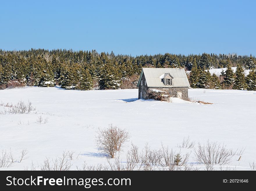 Winter abandoned house snow covered with pinetrees on background